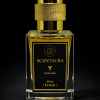 Y - Inspired by YSL Y EDP